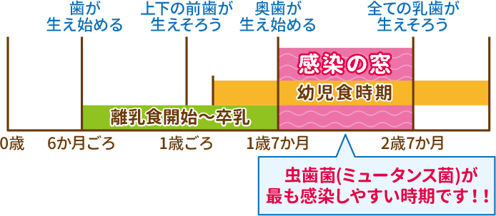 清瀬いんどう歯科 清瀬市松山の歯医者 歯科 小児歯科